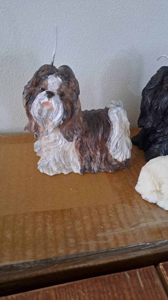 Grote Shih tzu kaars