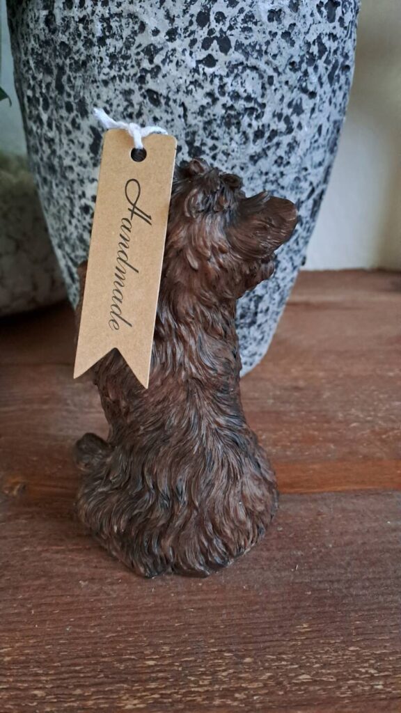 Cairn terrier - Afbeelding 3