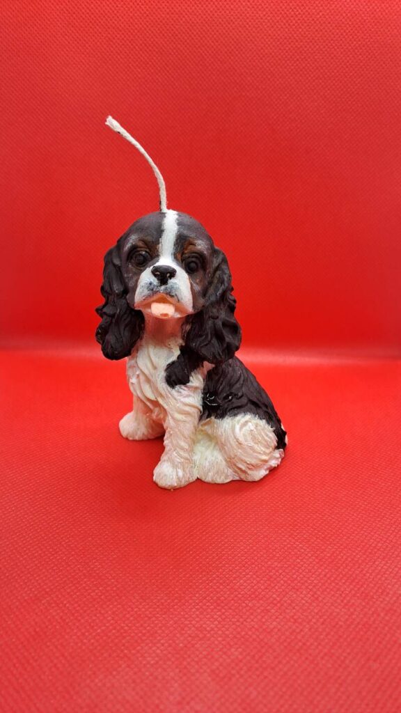 Cavalier King Charles Spaniel kaars/candle