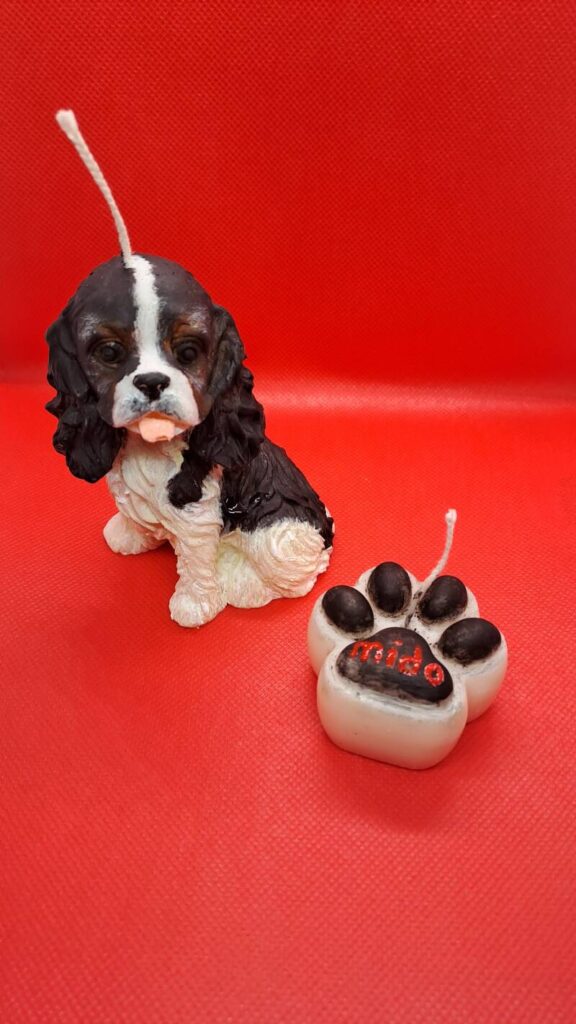 Cavalier King Charles Spaniel kaars/candle - Afbeelding 14